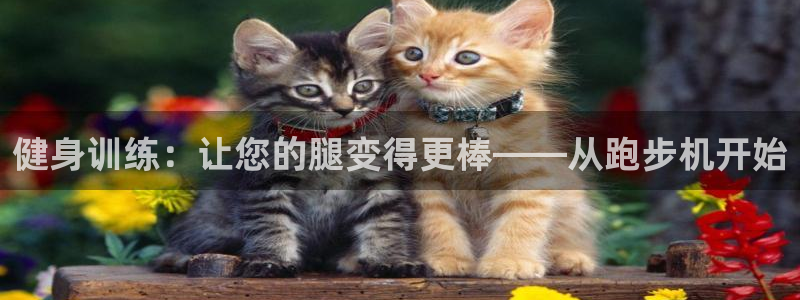 征途国际招商电话号码：健身训练：让您的腿变得更棒——