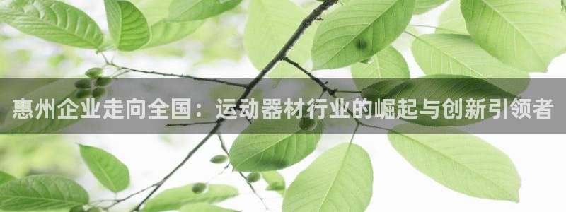 征途国际软件：惠州企业走向全国：运动器材行业的崛起与创新引领