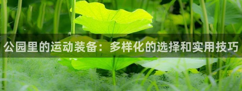 征途国际平台APP：公园里的运动装备：多样化的选择和