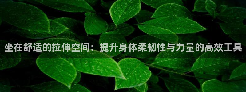 征途国际娱乐是那个系列的台子：坐在舒适的拉伸空间：提升身体柔