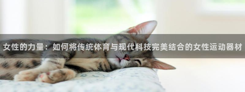 征途国际招商电话地址是多少：女性的力量：如何将传统体
