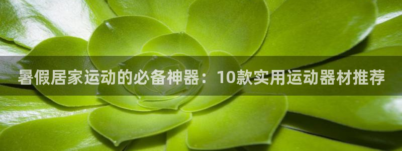 征途国际招商电话号码是多少：暑假居家运动的必备神器：
