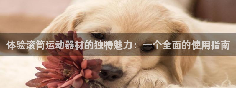 征途国际招商电话是多少：体验滚筒运动器材的独特魅力：