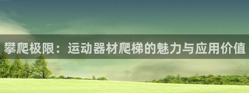 征途国际官方：攀爬极限：运动器材爬梯的魅力与应用价值