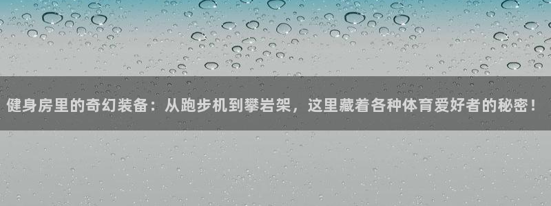 征途国际开户：健身房里的奇幻装备：从跑步机到攀岩架，