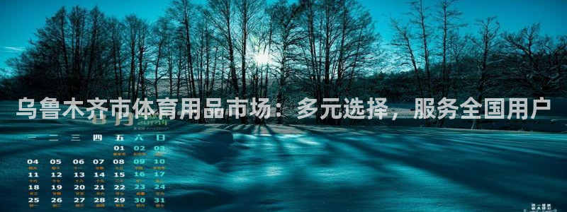 海南征途国际发展怎么样：乌鲁木齐市体育用品市场：多元