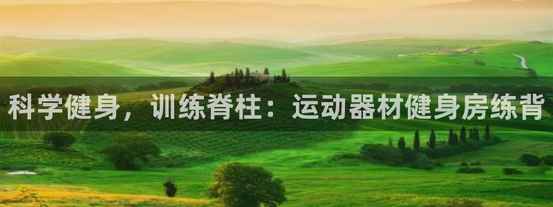 征途国际平台注册要钱吗：科学健身，训练脊柱：运动器材
