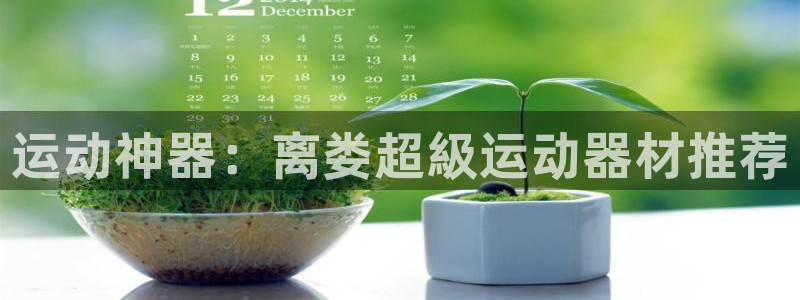 征途国际招商电话是多少啊：运动神器：离娄超級运动器材