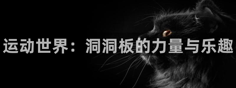 征途国际集团官网首页：运动世界：洞洞板的力量与乐趣