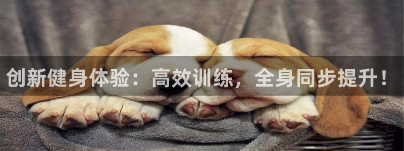 征途国际科技：创新健身体验：高效训练，全身同步提升！