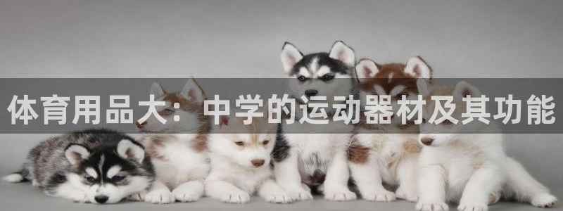 征途国际平台假的吗是真的吗吗：体育用品大：中学的运动器材及其