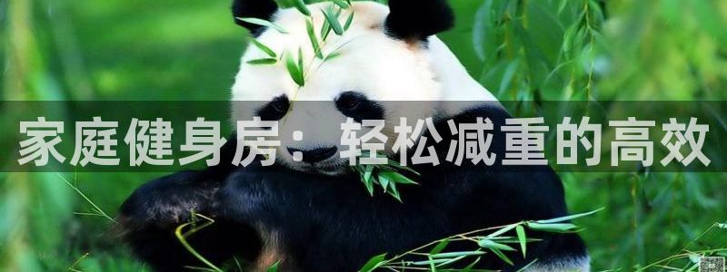 征途国际五金厂：家庭健身房：轻松减重的高效