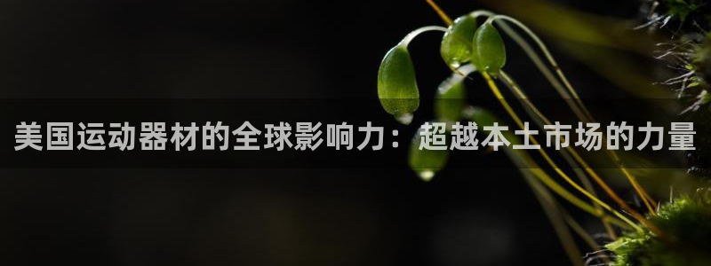 征途国际新能源：美国运动器材的全球影响力：超越本土市场的力量