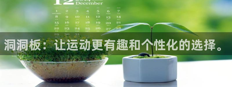 征途国际集团官网首页：洞洞板：让运动更有趣和个性化的选择。