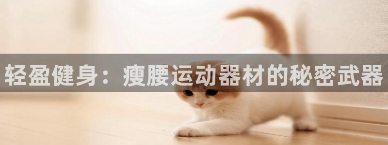 征途国际平台注册流程图：轻盈健身：瘦腰运动器材的秘密