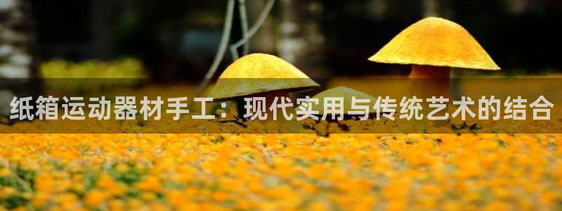 征途国际集团官网首页网址：纸箱运动器材手工：现代实用