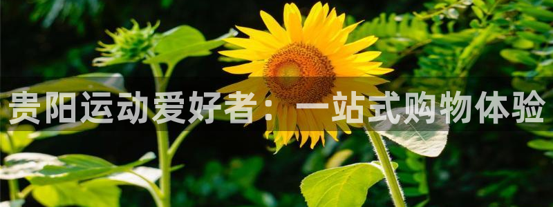 征途国际新能源