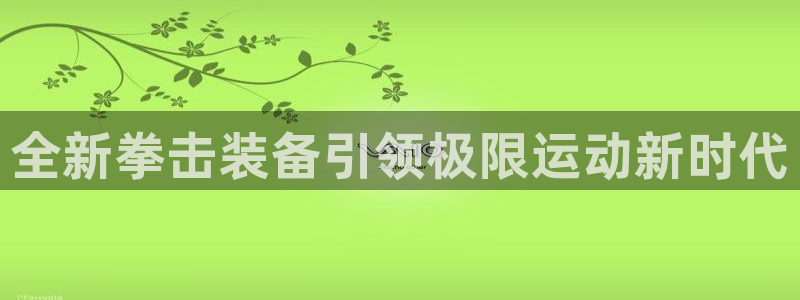 征途国际官网：全新拳击装备引领极限运动新时代