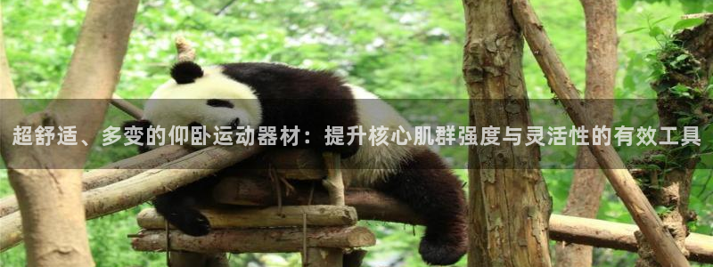 征途国际招商电话号码查询是多少:超舒适、多变的仰卧运动器材: